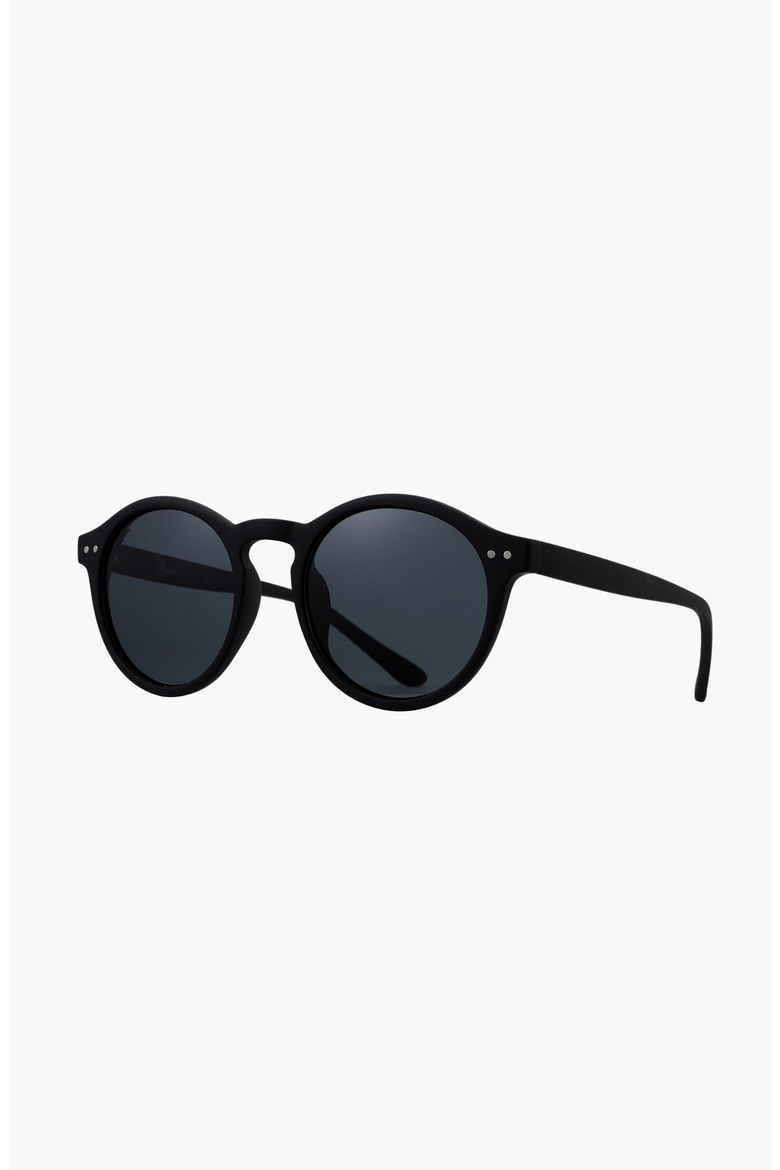 Hudson Sunglasses, Alternate, color, Matte Black