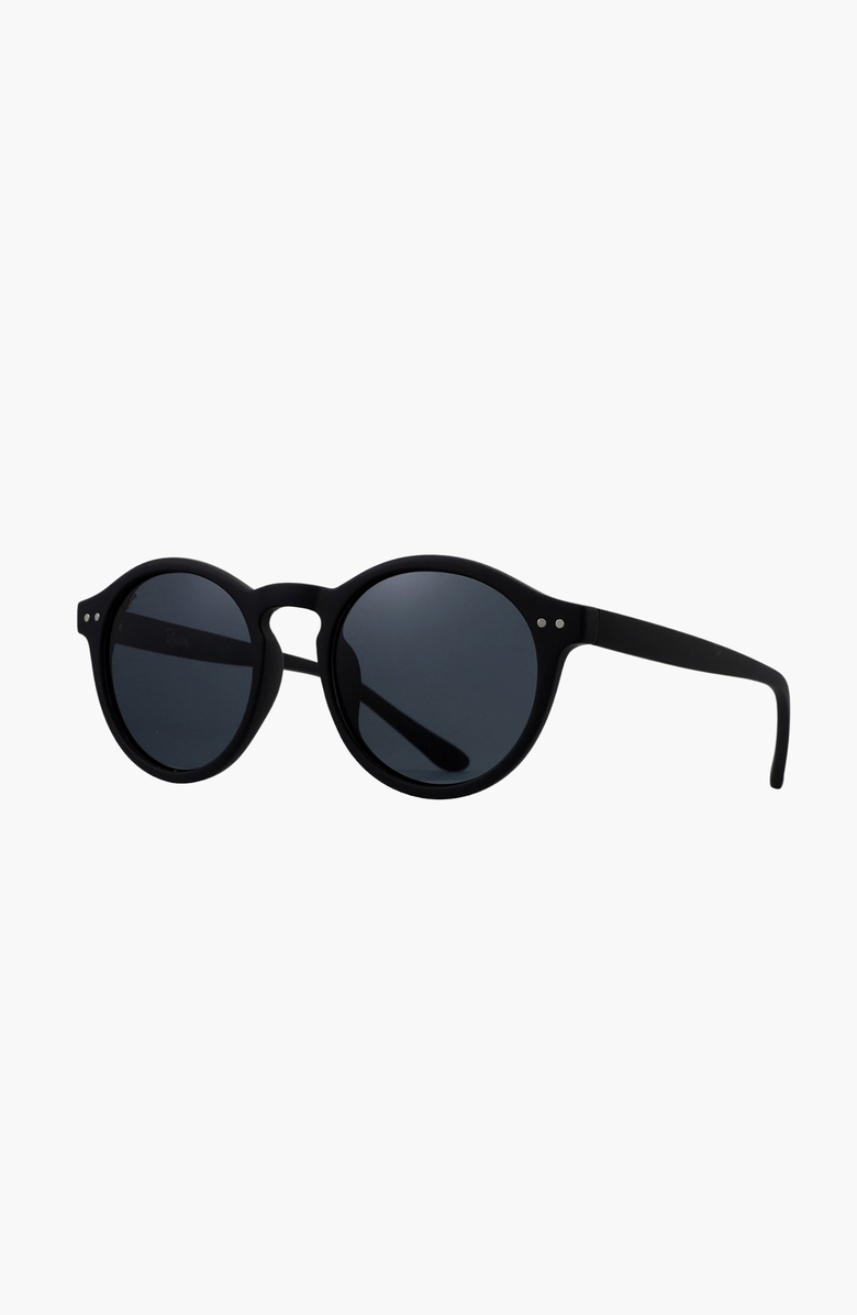 Reality Eyewear Hudson Sunglasses, Alternate, color, Matte Black