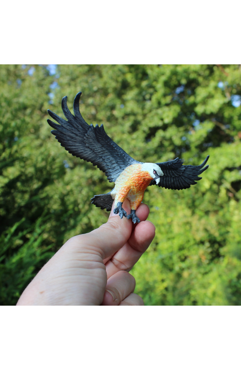 Safari Ltd. Bearded Vulture Kids Toy Figure, Alternate, color, NO COLOR