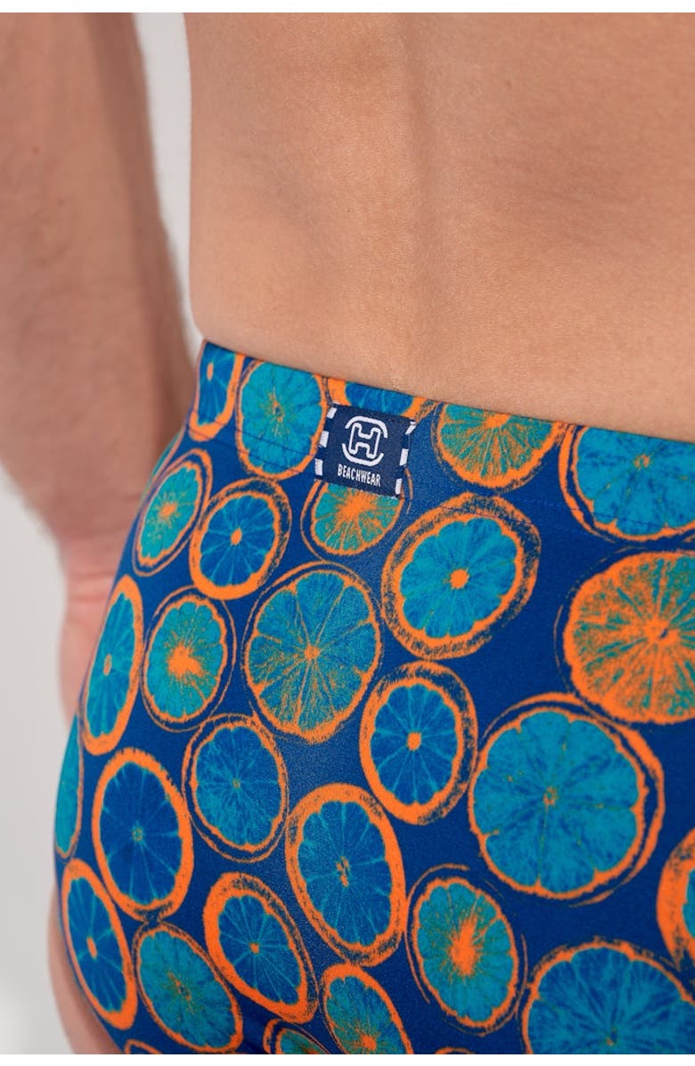 HOM Trapani Swim Mini Briefs, Alternate, color, Navy Print