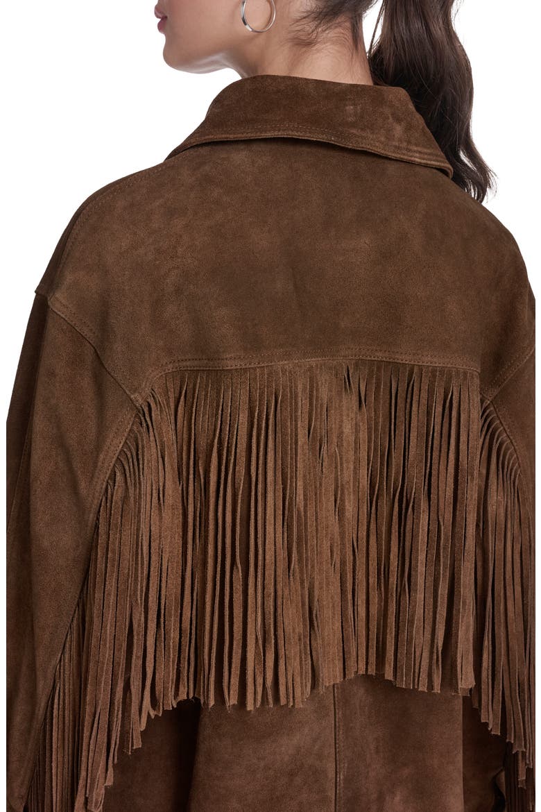 Fringe Suede Jacket, Alternate, color, MAPLE