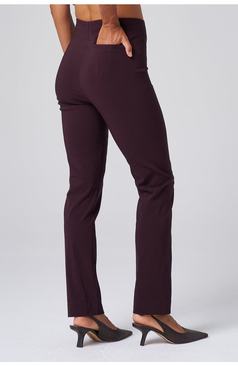 Franne Golde All Season Tapered Pull-On Stretch Pants, Alternate, color, Black Cherry