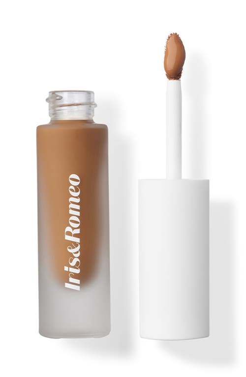 IRIS&ROMEO Best Skin Days™ Treatment Concealer in Shade 10  product