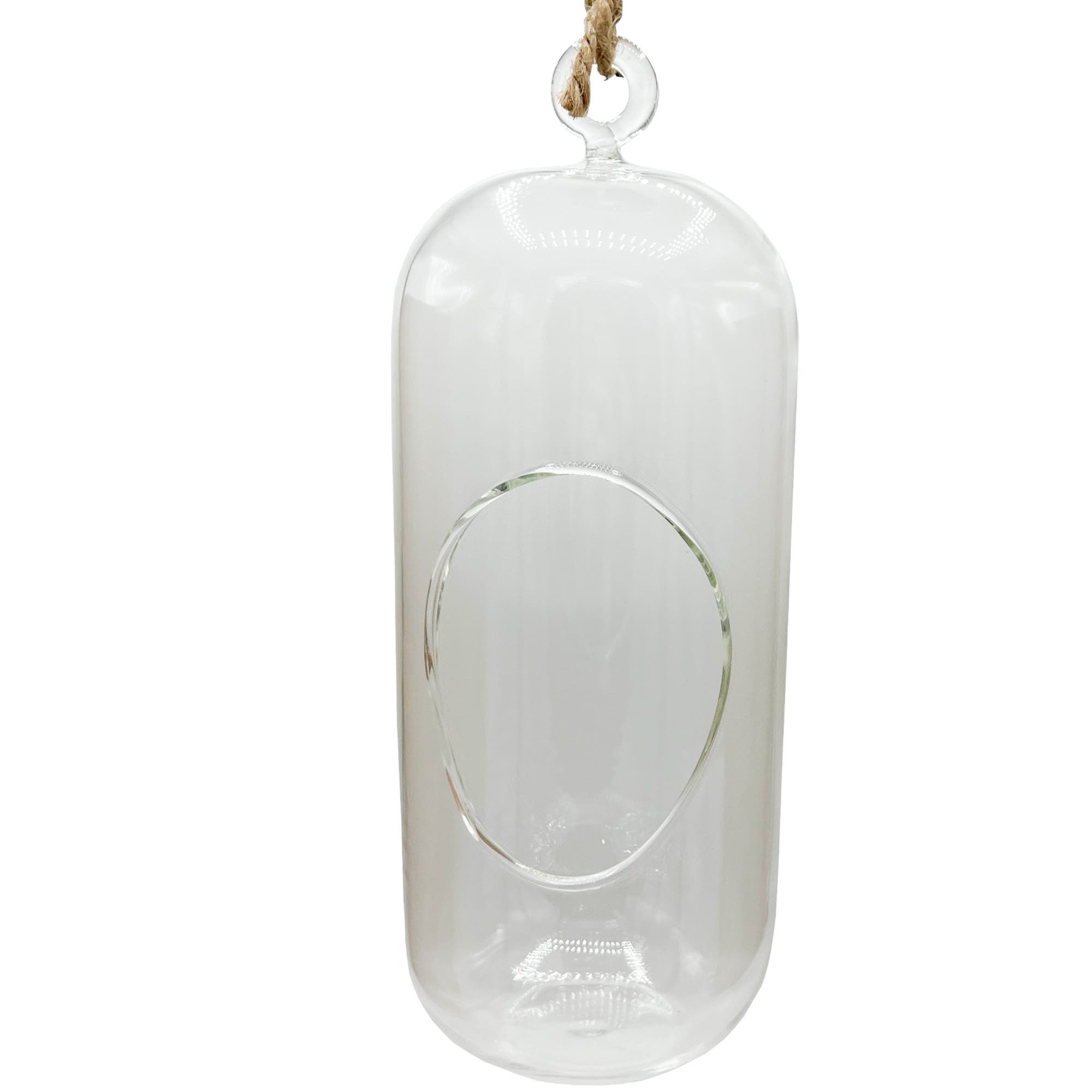 Unique Gardener Carefree Capsule Glass Terrarium | Nordstrom
