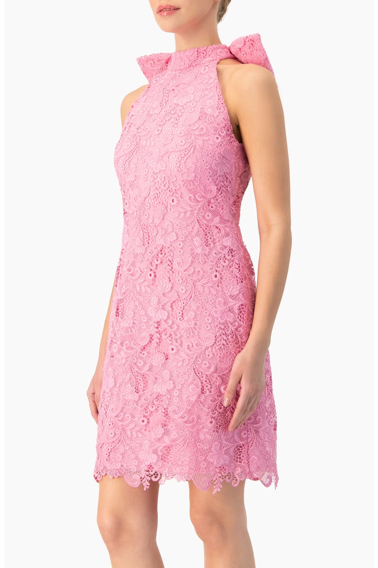 Lace Halter Bow Mini Dress, Alternate, color, Pink