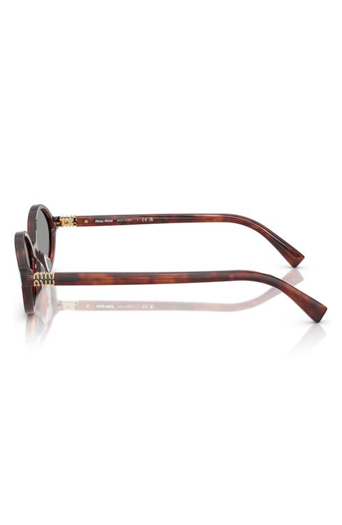 Miu Miu 0mu 04zs 21c40o Havana Mahogany Sunglasses In Grey