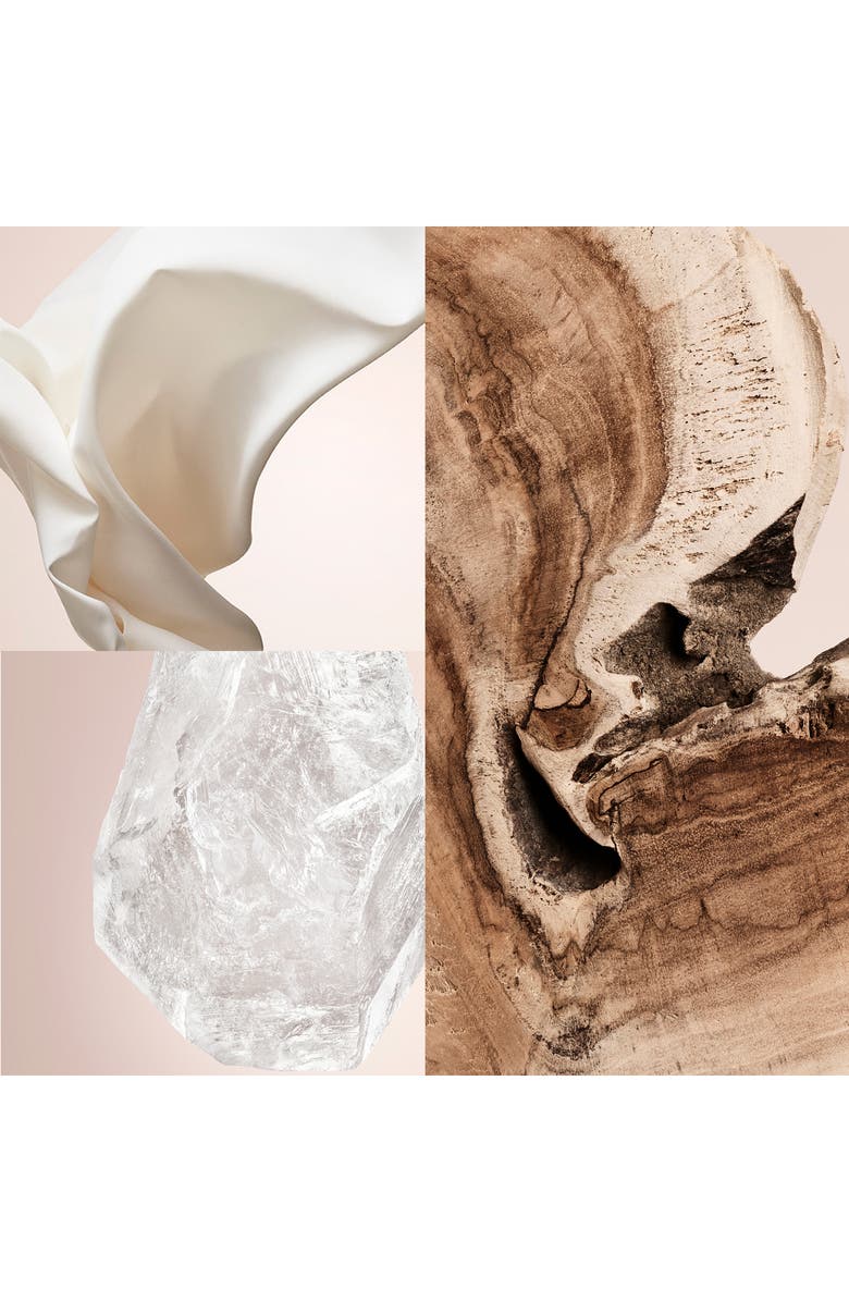 Carolina Herrera Cedar Chic Eau de Parfum, Alternate, color, 