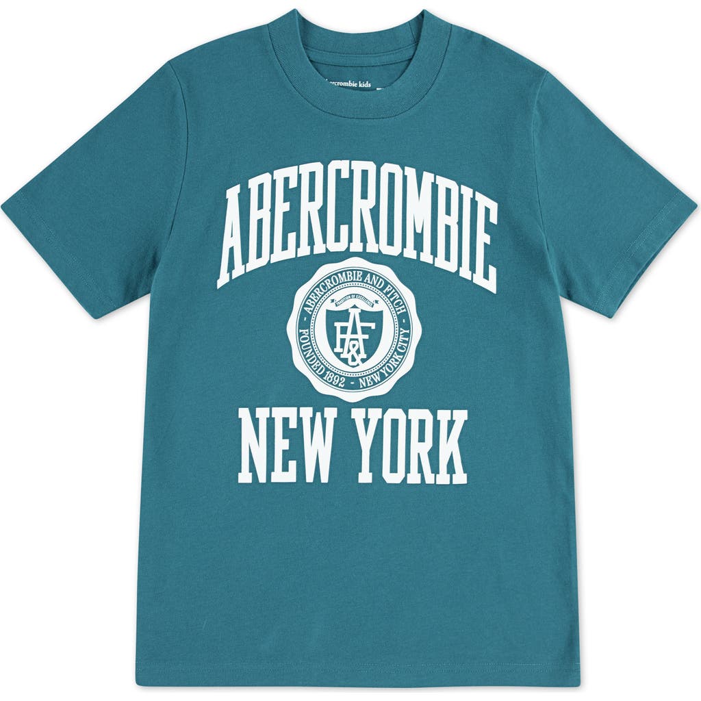 Abercrombie Kids Kids' Ivy League Collegiate T-shirt In Blue