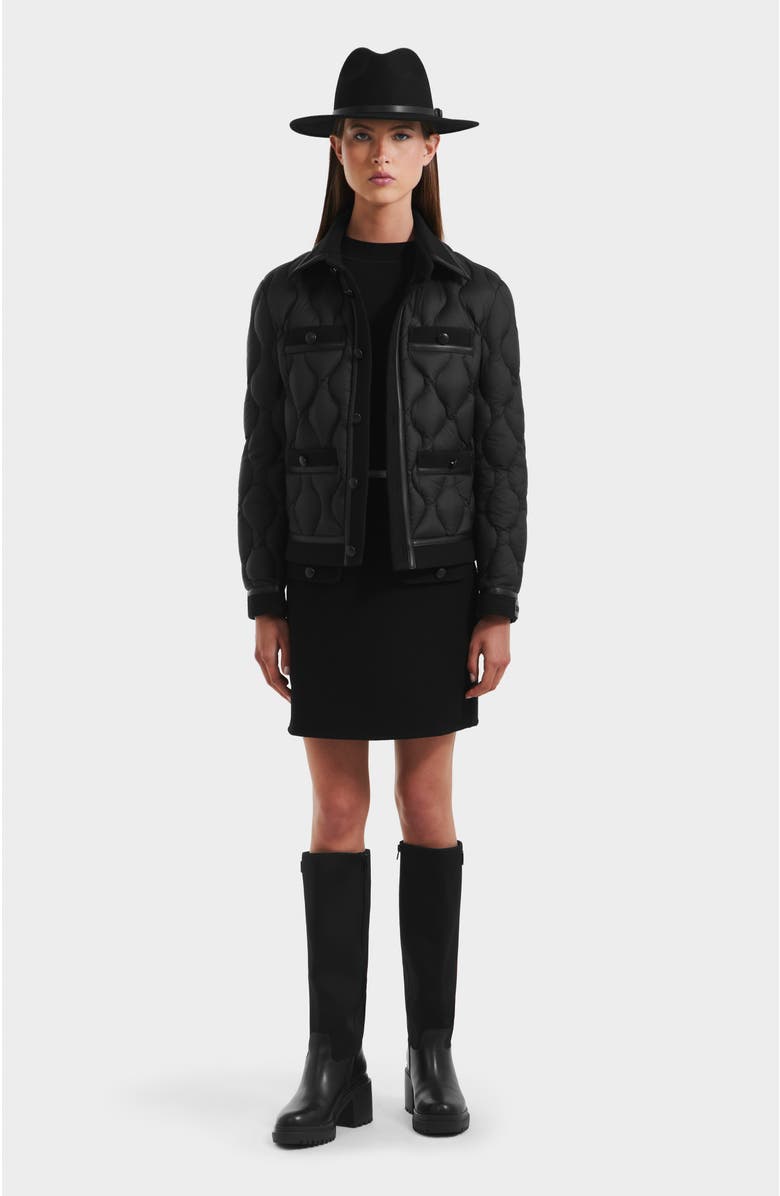 Rudsak Jolie Quilted Light Jacket, Alternate, color, Black