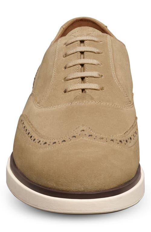 Allen Edmonds Carson Hybrid Wingtip Oxford In Bone