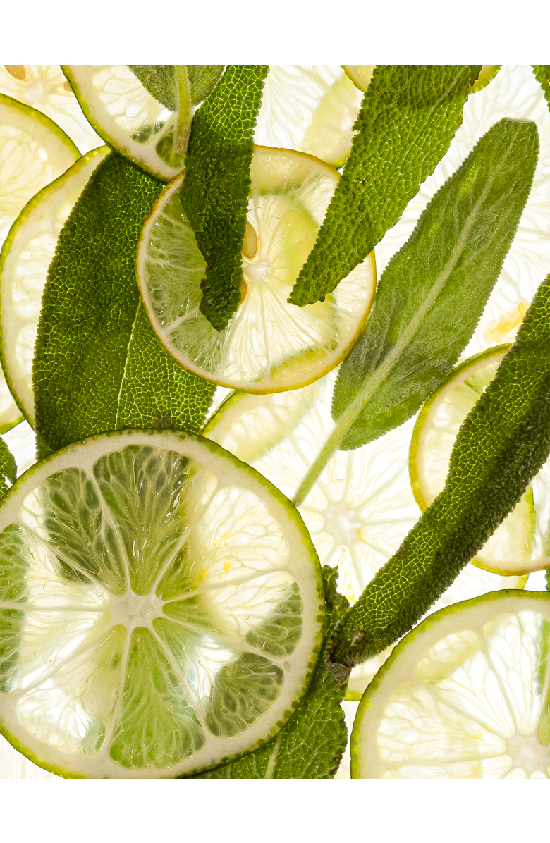 Esas NYC Bare Organic Eau de Parfum Gift Set, Alternate, color, Light Gold