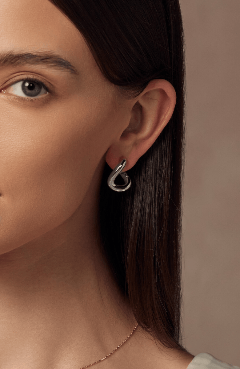 Bearfruit Jewelry 14k Gold Plated Chase Twisted Hoop Earrings Holiday Gift Idea, Alternate, color, Silver