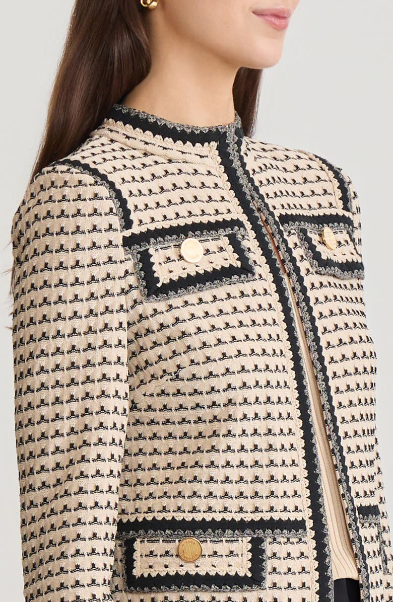 Misook Tailored Multi-Stitch Zigzag Trim Knit Jacket, Alternate, color, Biscotti/Black