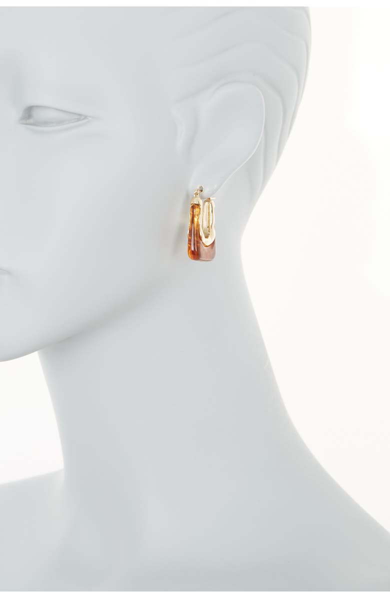 Tasha Resin Oval Hoop Earrings, Alternate, color, Brown