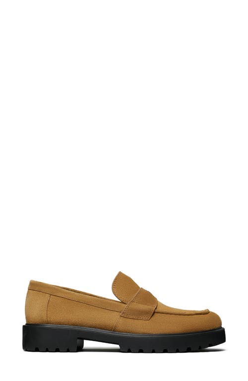 Tory Burch Classic Lug Loafer In Animal Print