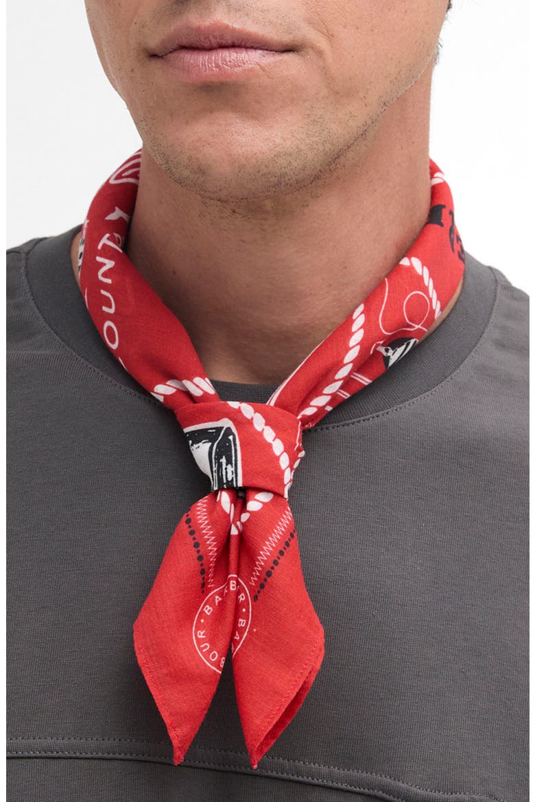 Heritage Print Cotton Bandana Scarf, Main, color, RED