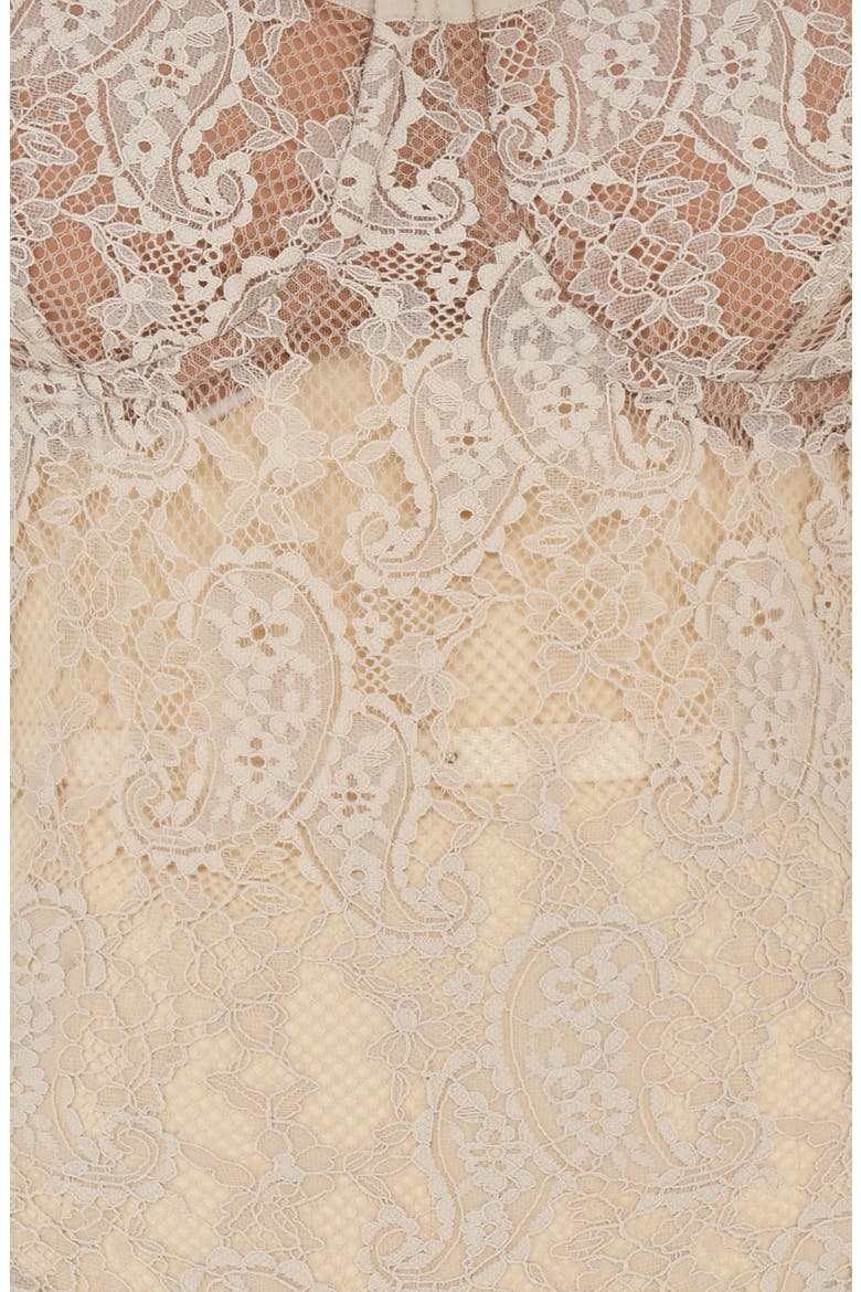 Fernanda Semisheer Crop Lace Camisole, Alternate, color, CREAM