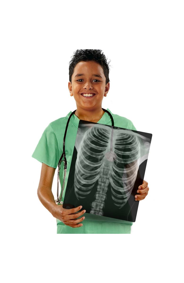 Roylco Human X-Rays on Film, Alternate, color, Multicolor