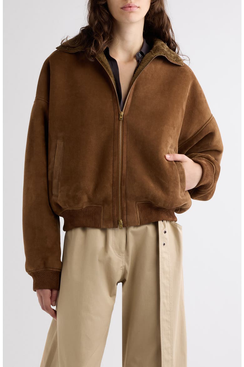 Lybrand Genuine Shearling Bomber Jacket, Main, color, CHESTNUT BROWN