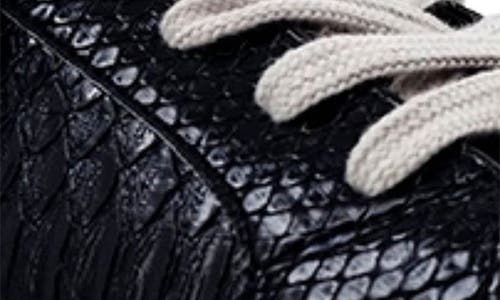 Shushop Reese High Top Sneaker In Black