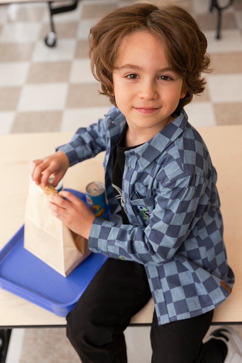 Checkered Dino Embroidered Chest Pocket Chambray Shirt, Alternate, color, Blue Checkered Print