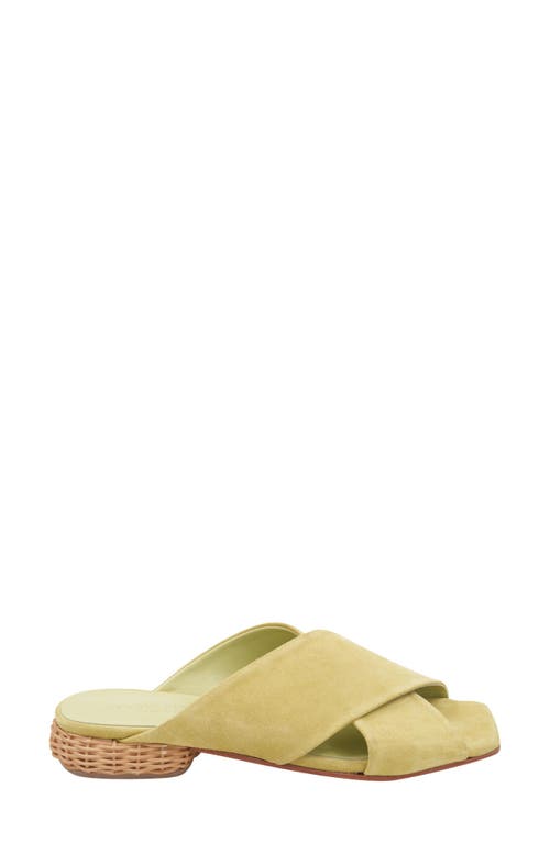 Andre Assous André Assous Willa Woven Heel Sandal In Pistachio