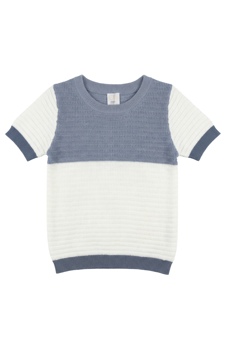 Clô Short Sleeve Multi Textured Colorblock Knit Sweater, Main, color, Blue Grey