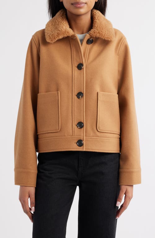 Sam Edelman Crop Jacket With Faux Shearling Collar In Brown