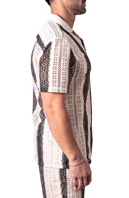 Maceoo Stripescream Open Stitch Short Sleeve Cotton Button-up Shirt In Neutral