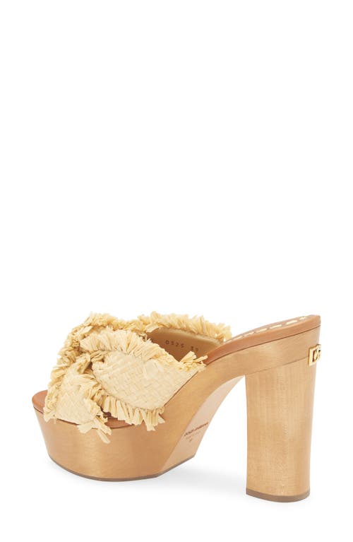 Dolce & Gabbana Dolce&gabbana Raffia Platform Sandal In Brown