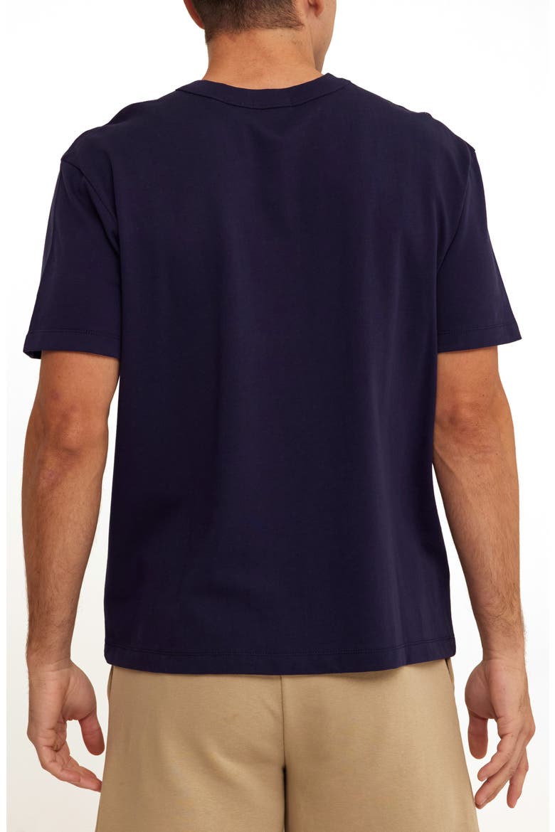 Johnny Relaxed Fit Cotton Jersey T-Shirt, Alternate, color, STARGAZER