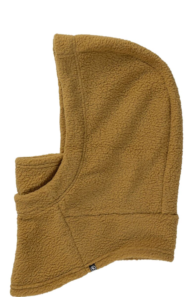 Backcountry Wander Pile-Fleece Hood, Alternate, color, Bistre