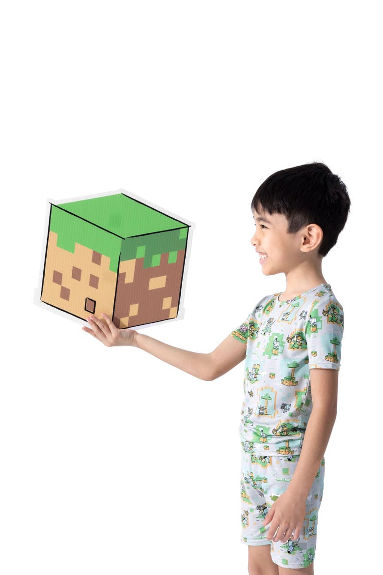 Minecraft Overworld Dreams Kids 2-Piece Short Sleeve & Shorts Pajama Set, Alternate, color, Minecraft Overworld Dreams