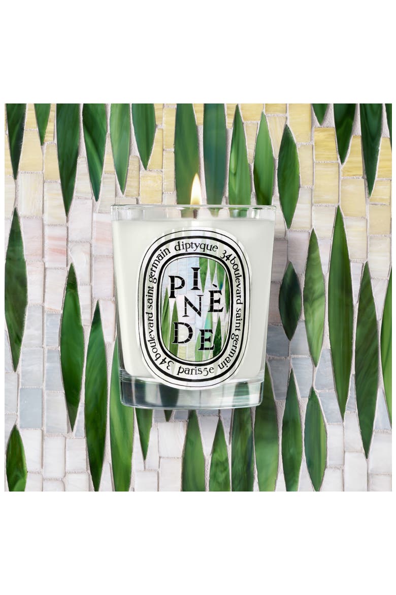 Pinède (Pine Grove) Classic Candle, Alternate, color, NO COLOR