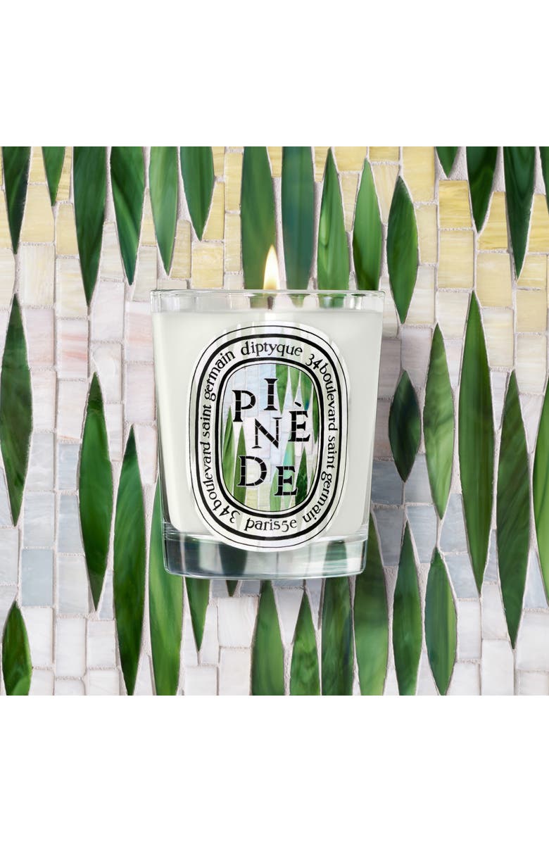 Diptyque Pinède (Pine Grove) Classic Candle, Alternate, color, 
