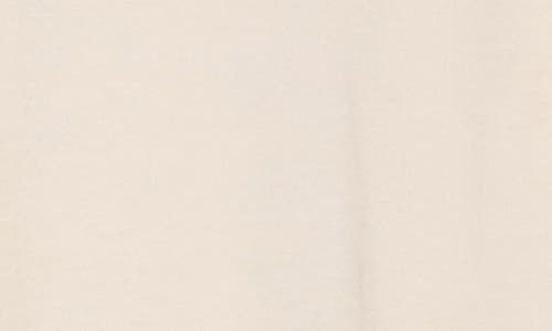 Lucky Brand Palm Lights Long Sleeve Graphic T-shirt In Gray