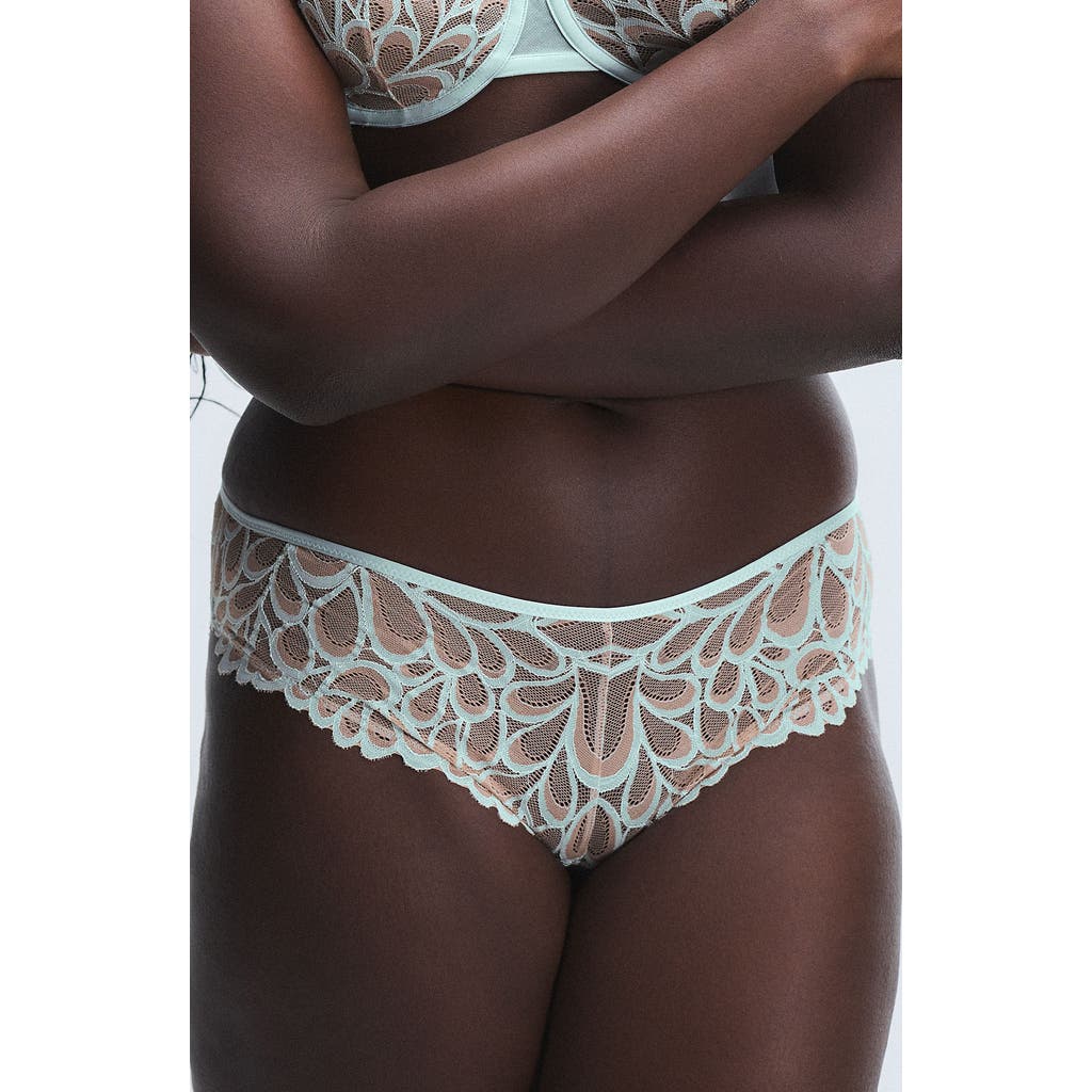 Savage X Fenty Savage Not Sorry Lace Cheeky Panties