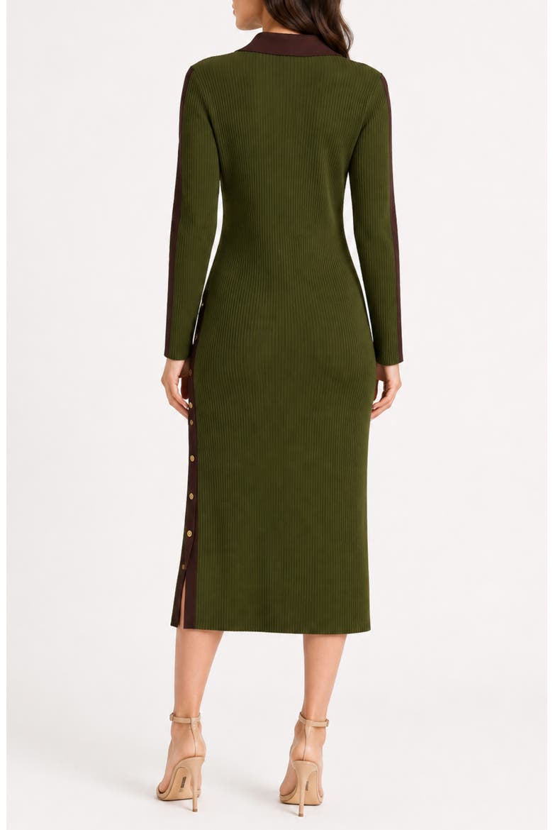 Henley Sweater Dress, Alternate, color, OLIVE / CHOCOLATE