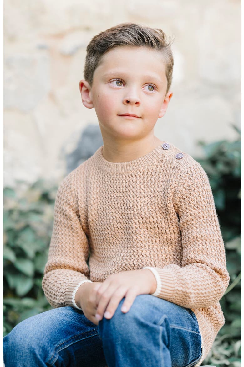 Kids' Organic Long Sleeve Crewneck Sweater with Buttons, Alternate, color, Camel Heather Herringbone