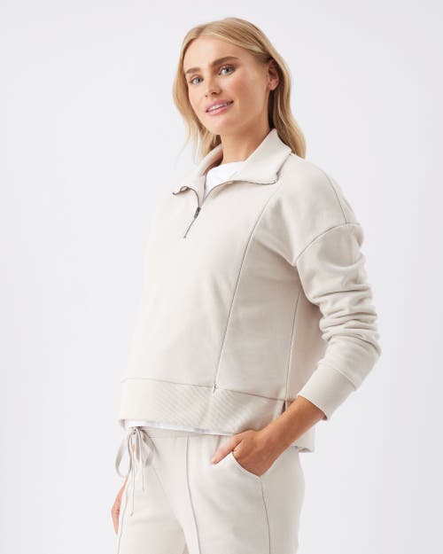 Ripe Maternity Comfortable Terry Nursing Sweatshirt For Moms In Neutral