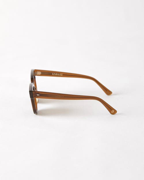 Epokhe Dylan Sunglasses In Brown