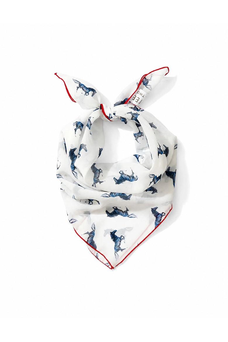 Chiffon Scarf, Main, color, Mustangs