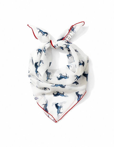 Chiffon Scarf