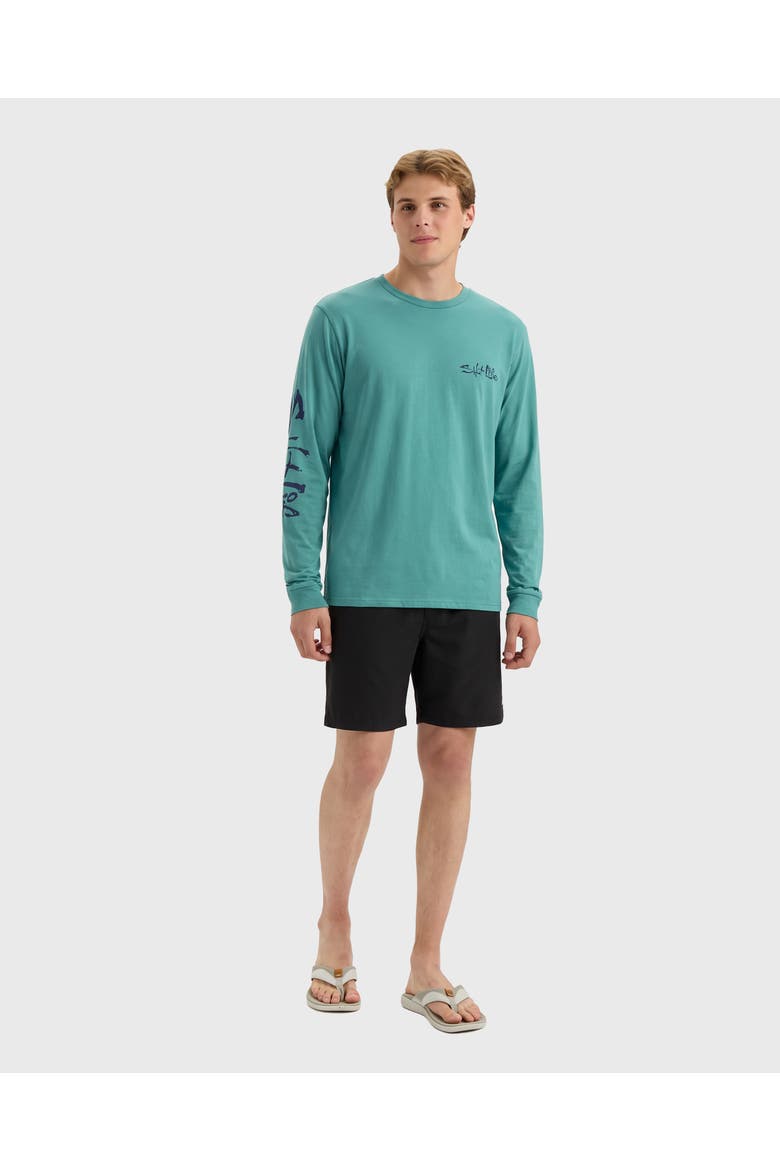 Horizon Hunters Long Sleeve Tee, Alternate, color, OCEAN SPRAY