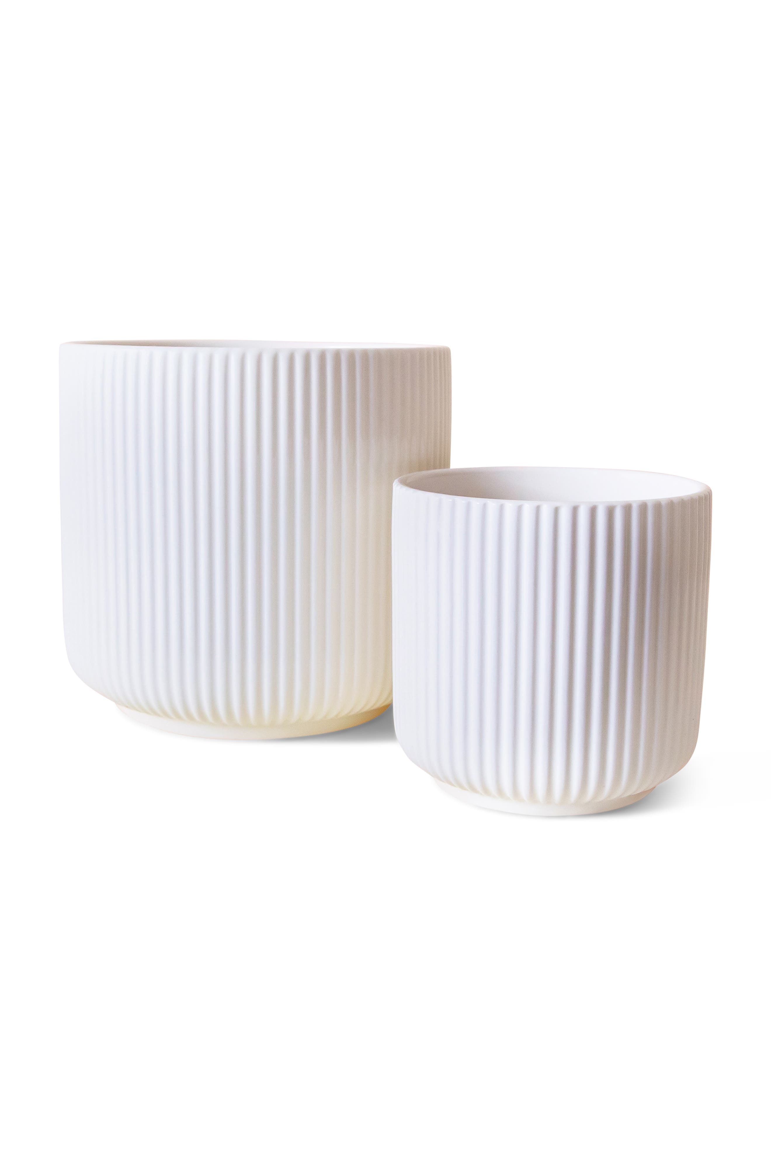 Jungle Club Lucy Planter In White