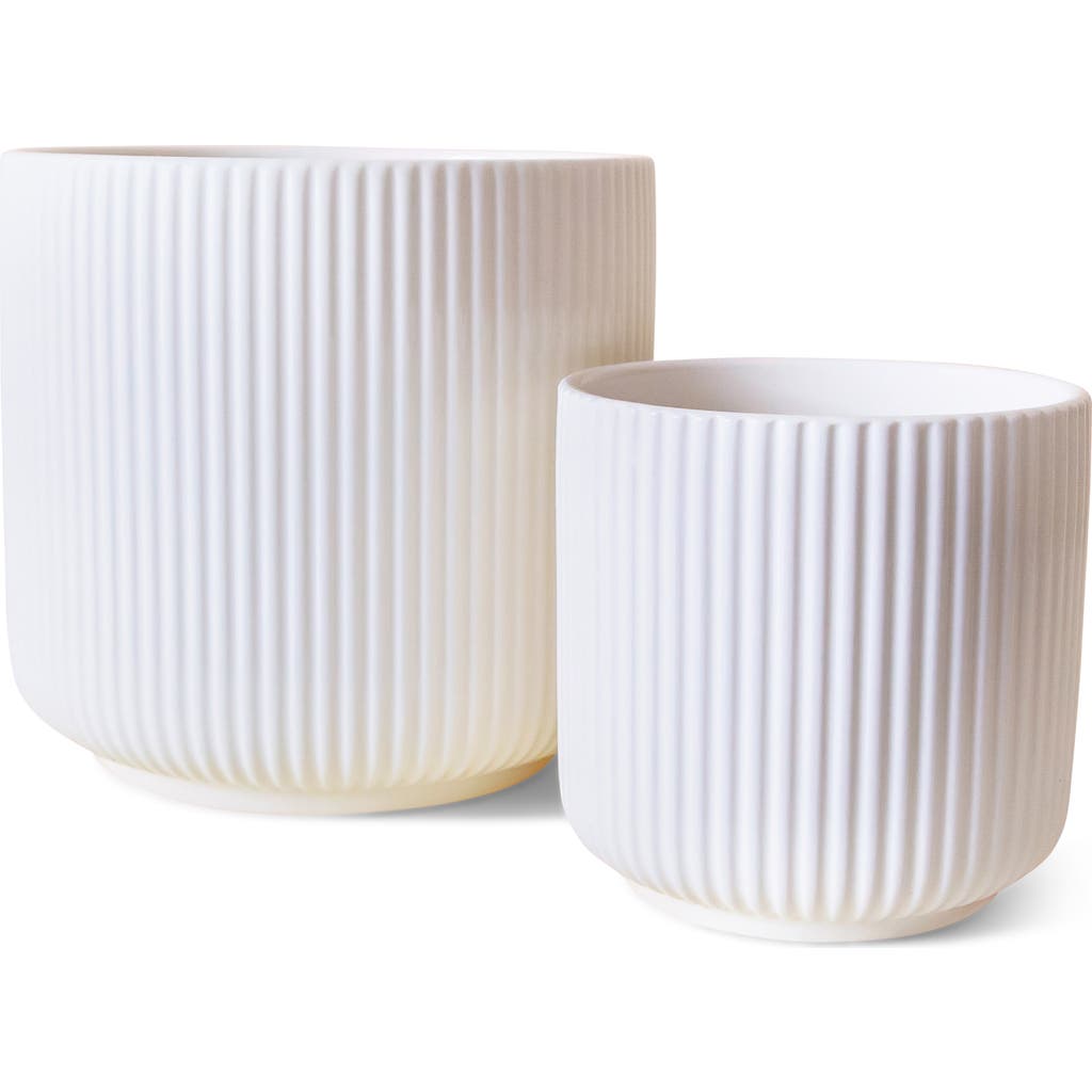 Jungle Club Lucy Planter In White