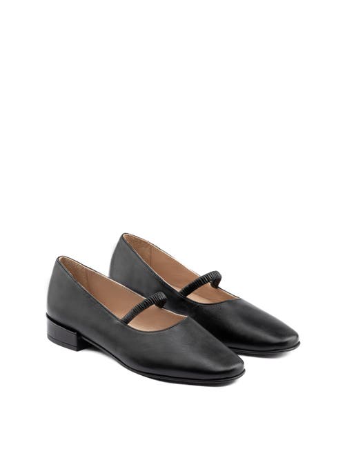 Maguire Pisa Ballerina In Black
