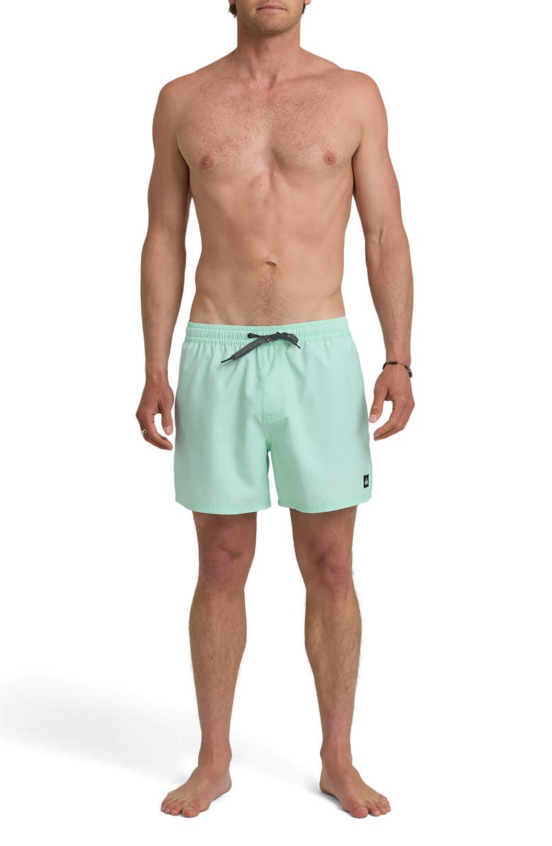 Quiksilver Everyday Solid Volley Swim Trunks, Alternate, color, Brook Green