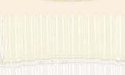 selected WHITE