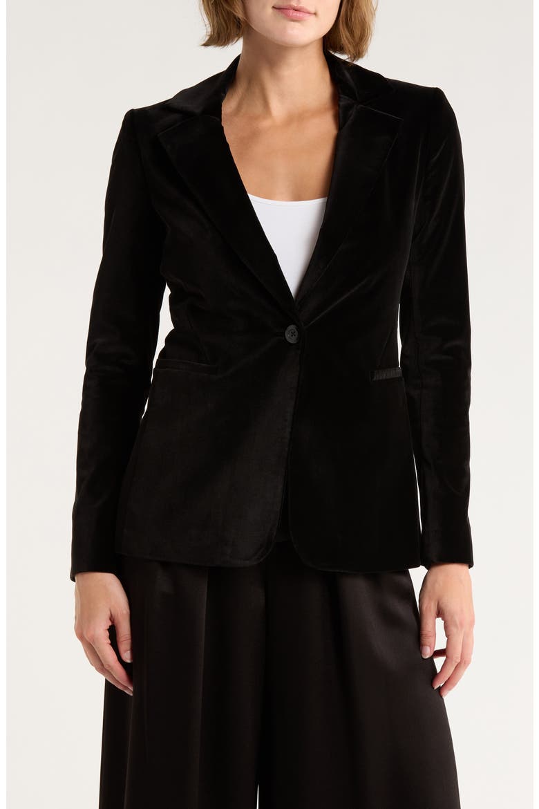 Macey Fitted Velvet Blazer, Main, color, BLACK